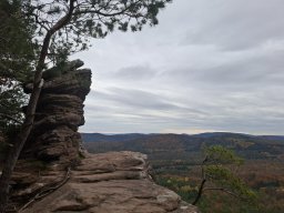 Wanderung Lindelbrunn Nov 2025